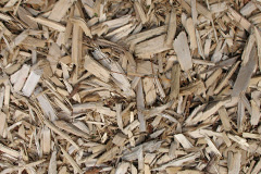 biomass boilers Tythecott